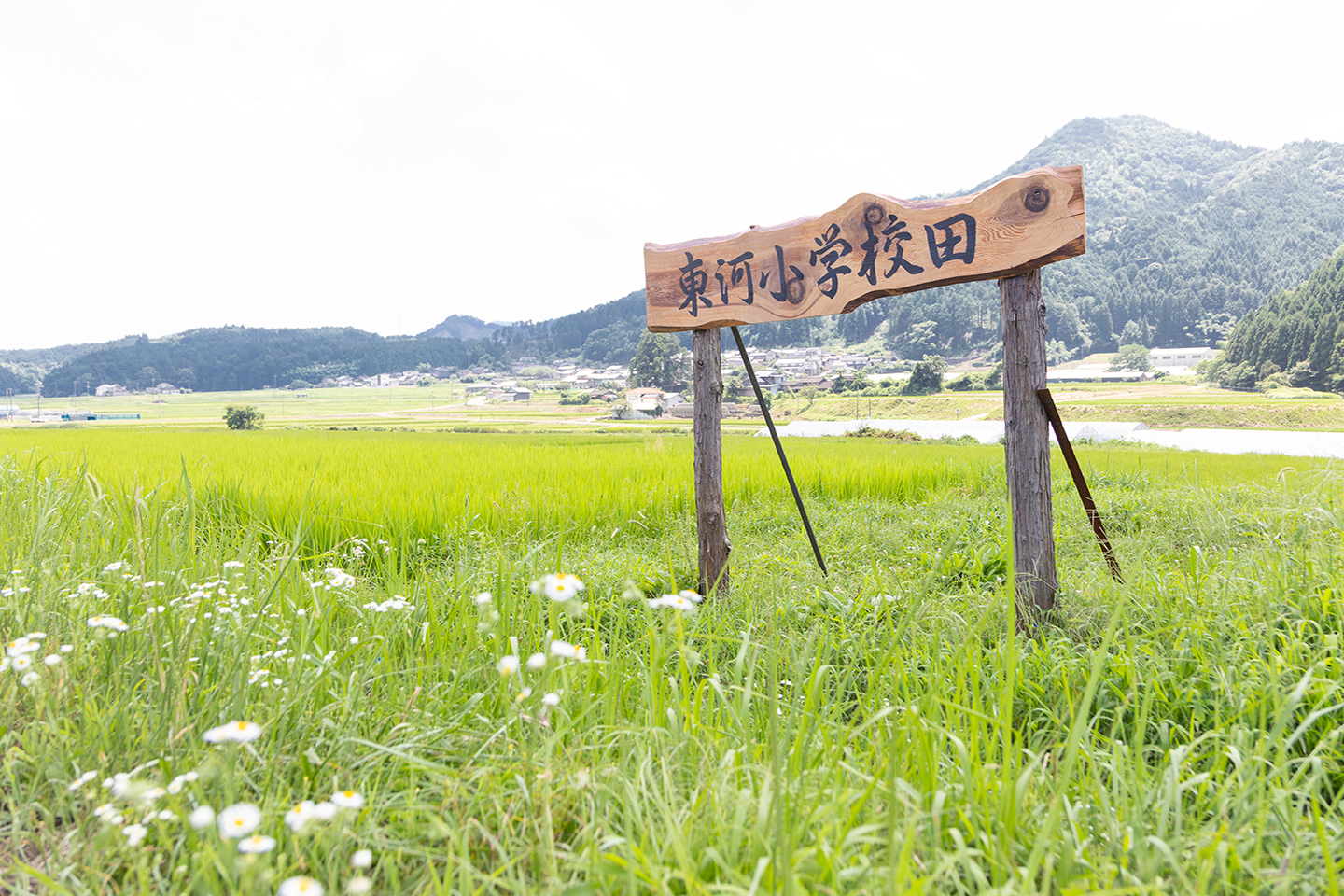 東河小学校田